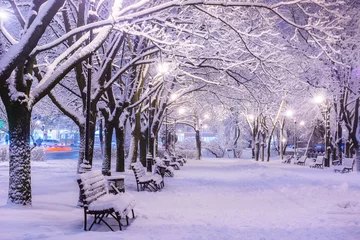 Foto auf Acrylglas Winter Erstaunliche Winternachtlandschaft mit schneebedeckter Bank zwischen verschneiten Bäumen und leuchtenden Lichtern während des Schneefalls. Künstlerisches Bild. Schönheitswelt.