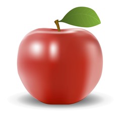 Realistic red apple with shadow on a white background vector illustration