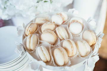 White macaroons served on white plate