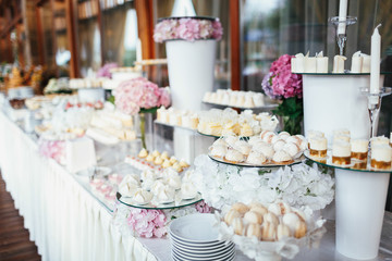 Obraz na płótnie Canvas Wedding candy bar rich served with pink hydrangeas, white cookies and chocolates, eclairs and macaroons