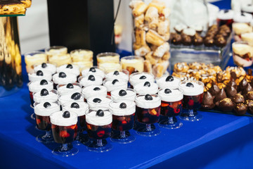 Blue candy bar with different kinds of cookies, chocolates and cold cream desserts stands in the hall