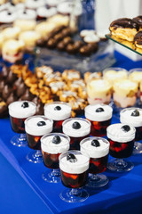 Blue candy bar with different kinds of cookies, chocolates and cold cream desserts stands in the hall