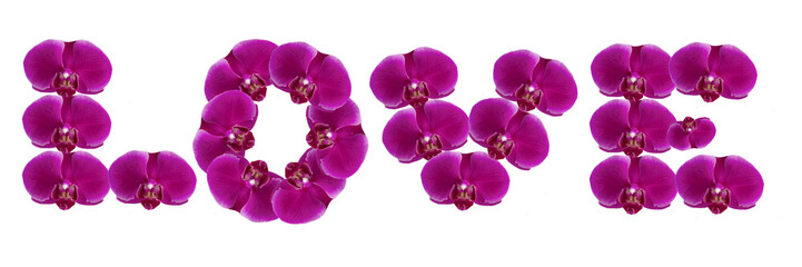 The word "LOVE" made out of real pink orchid flowers isolated on white background