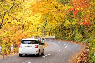Türaufkleber Scene of cars drive along the road with autumn red leaf in Aomori, Japan. Beautiful country side along the road great time for travel. © stnazkul