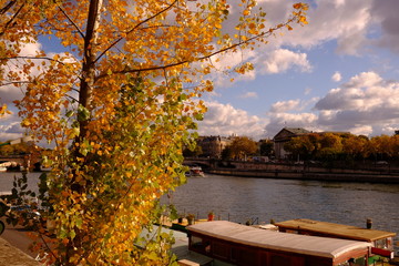 Automne à Paris, France