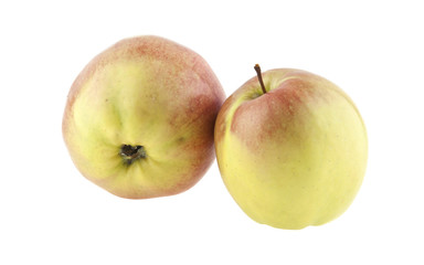 apple isolated on white background
