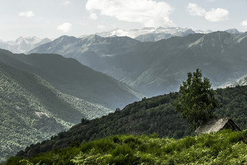 Bosc de Carlac (Vall d'Ar an)