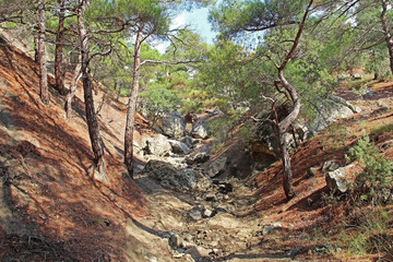 Beautiful nature at Mountain Socol (Sokol) (Falcon) in Crimea.