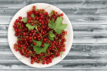 White plate of red currant on a gray wooden background. Top view with copy space. Fresh berries and leaves. Organic dietary food.