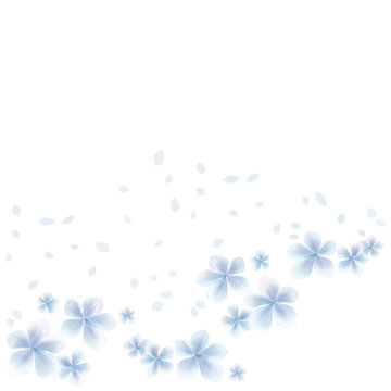 White Blue flowers and flying petals isolated on White background. Apple-tree flowers. Cherry blossom. Vector
