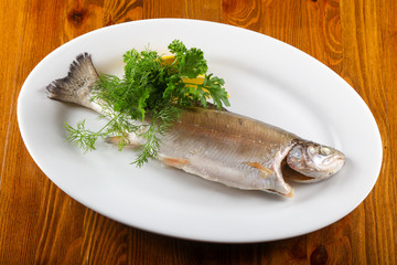 Steamed trout