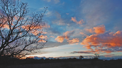 Fototapeta na wymiar Coucher de soleil d'un ciel bleu aux nuages rose, oranges et rouges sur la campagne hivernale aux arbres sans feuilles d'une plaine du Sud e la France.