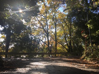 Backlit shot of runner on country road with autumn leaves