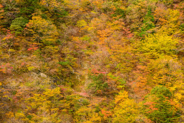 渓谷の風景、晩秋の山。