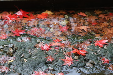若狭神宮寺の秋景色