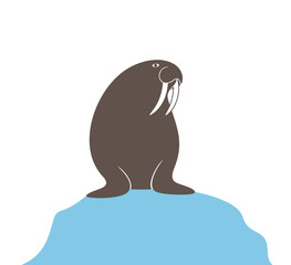 Walrus logo. Isolated walrus on white background 