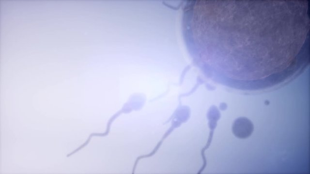 sperm and egg cell. frosen microscopic research