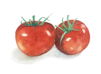 red tomatoes