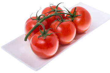 Tomatoes on branch in plate on white background