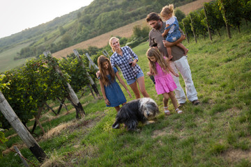 Fototapeta premium Happy family enjoys walk in vineyard
