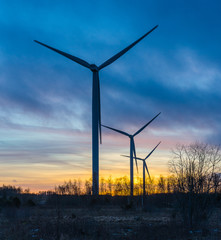Wind turbines generating electricity