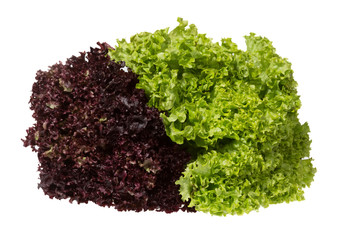 Bunch of green and lettuce salad.