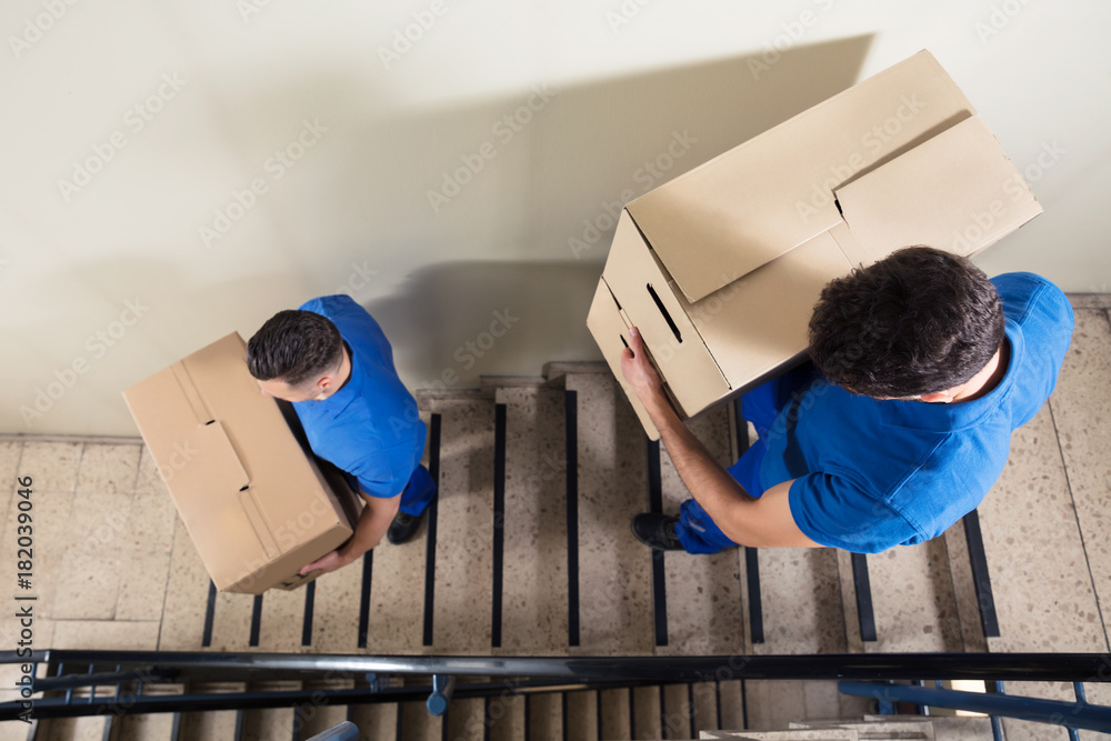 Wall mural two movers carrying cardboard boxes on staircase