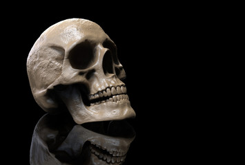 Obraz premium skull wallpaper hd of a skull isolated in black background with reflection 3d illustration