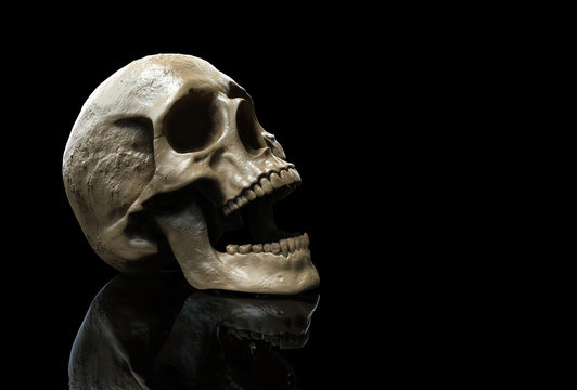 skull wallpaper hd of a skull isolated in black background with reflection 3d illustration