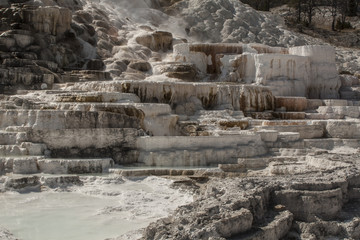 Yellowstone national park