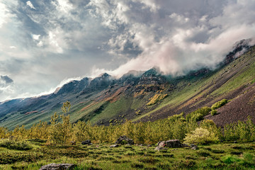 Green landscape with blue sky and fluffy clouds