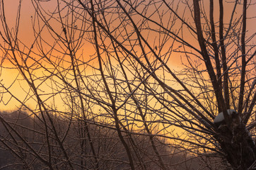 Frosty sky of dawn