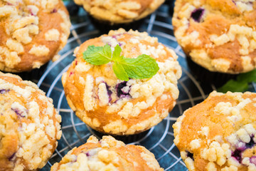 Blueberry muffin
