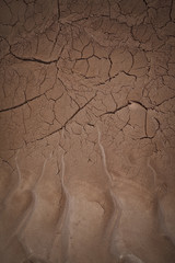 desert's cracks