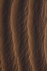 desert waves 