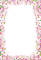 Vector pink, floral frame isolated, bokeh effect.