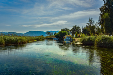 Fototapeta premium River Sky Trees