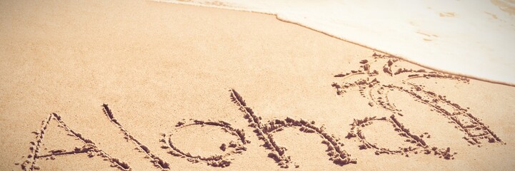 Aloha text written on sand with palm tree
