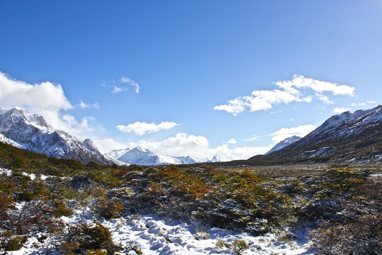 ロス・グラシアレス Images Browse 49 Stock Photos, Vectors, and Video Adobe Stock