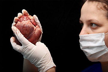 abstract illegal organ transplantation. A human heart in the hand of a surgeon woman. International crime. Assassins in white coats. Death and money. Heart transplant isolated on black background