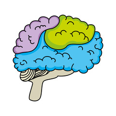 brain human isolated icon vector illustration design