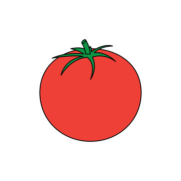 tomato vegetable icon image vector illustration design 