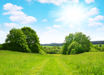 Fototapeta na wymiar Spring landscape with blue sky in Czech Republic.