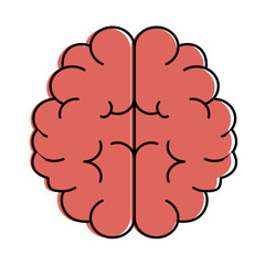 brain human isolated icon vector illustration design