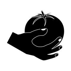 tomato hand holding vegetable icon image vector illustration design  black and white