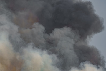 Fototapeta na wymiar Smoke from wild fire background
