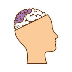 human profile with brain vector illustration design