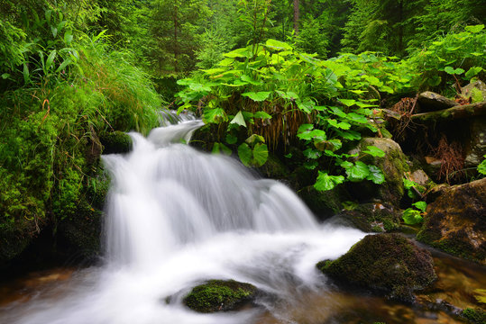 Waterfall on mountain stream in the National park Sumava-Czech Republic