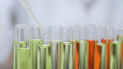 Scientist dropping serum in glass tubes, biochemical investigation, cosmetology