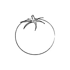 tomato vegetable icon image vector illustration design 